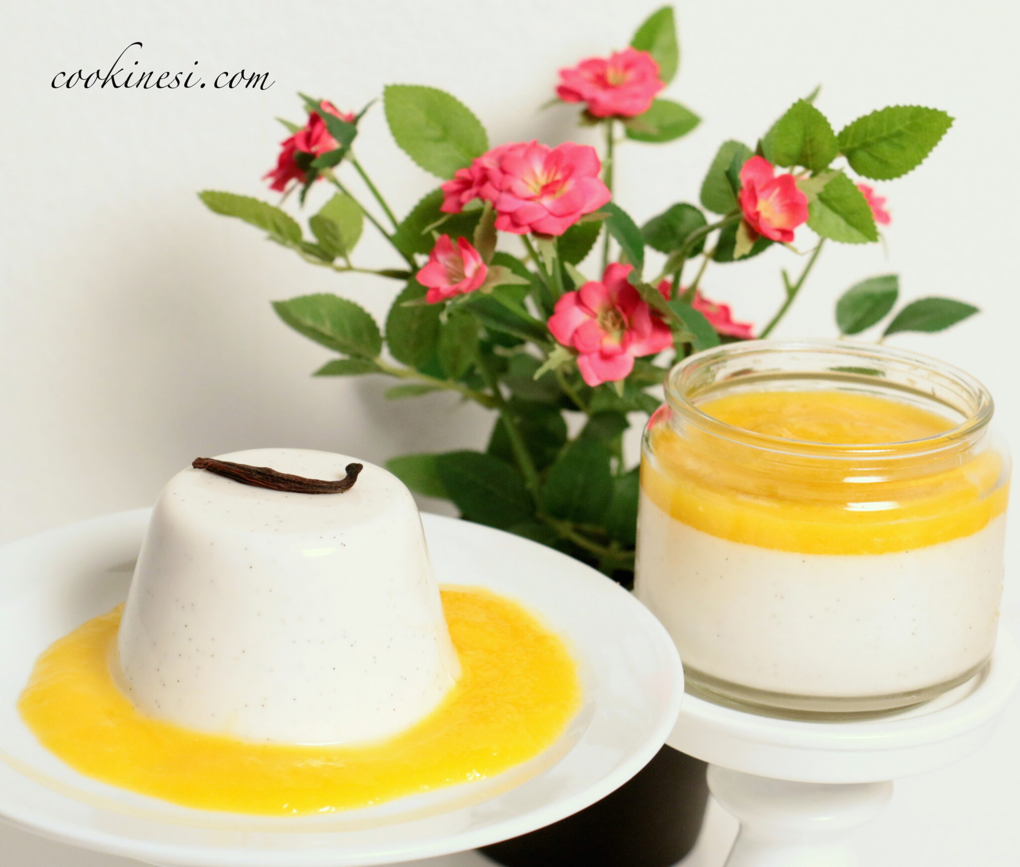 Kokos Panna Cotta (Variante: vegan) - Cookinesi